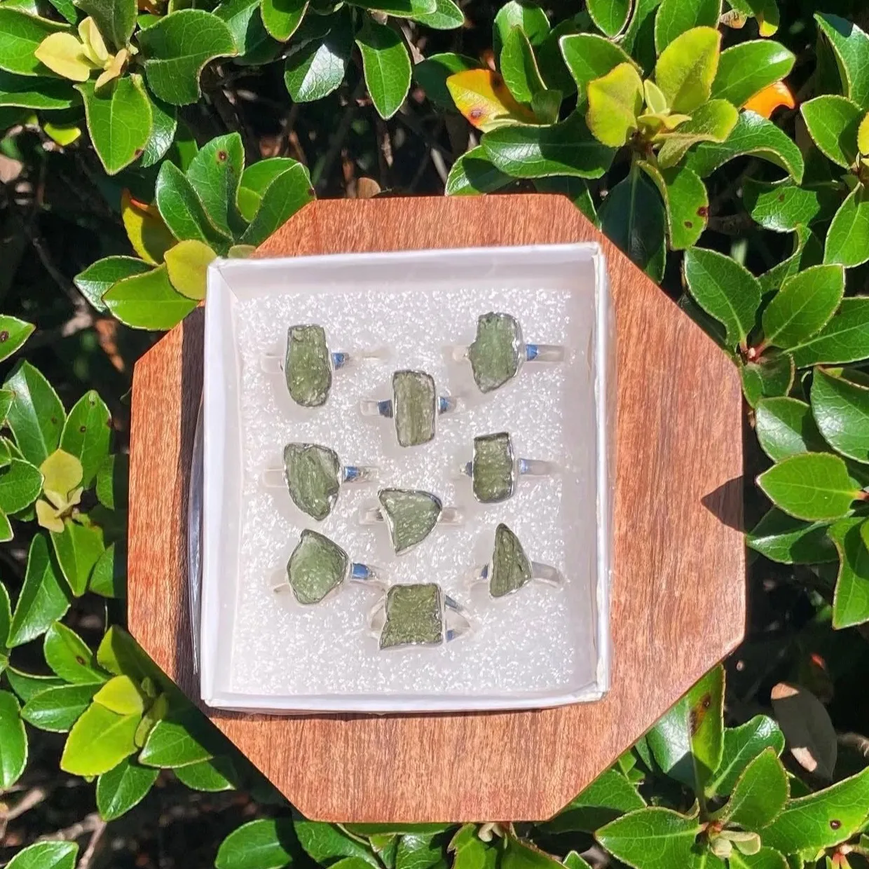 Stone rings arranged on a wooden display among green leaves.